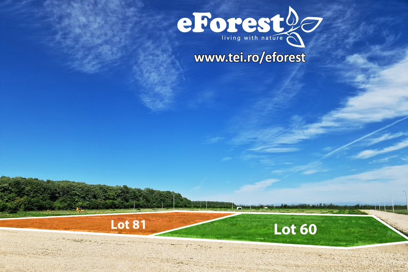 eForest, 270 loturi, acces direct din DN1A