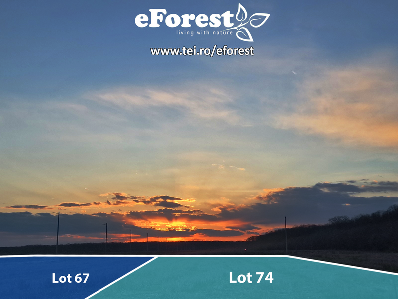 eForest, 270 loturi, acces direct din DN1A