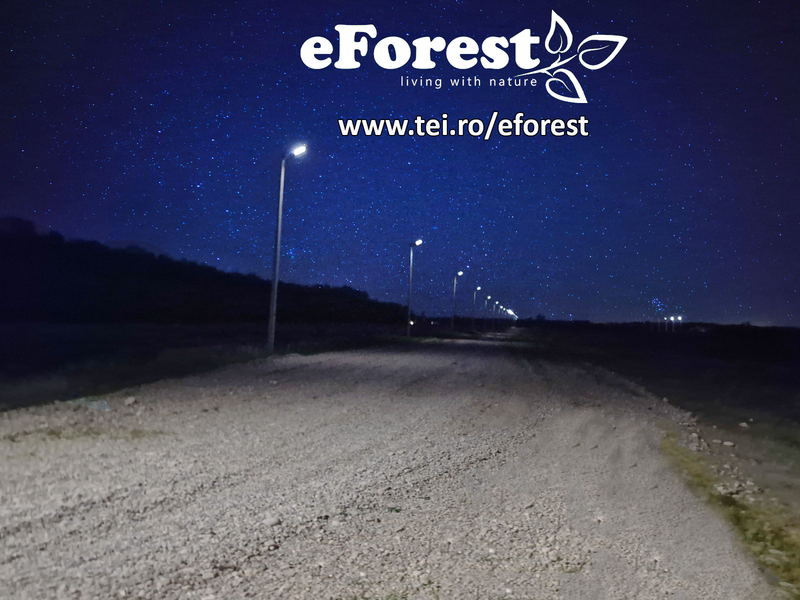 eForest, 270 loturi, acces direct din DN1A