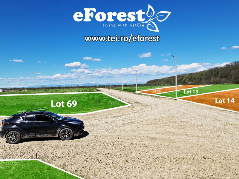 eForest, 270 loturi, acces direct din DN1A