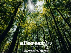 Crevedia eForest, Padurea Luceanca
