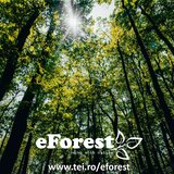 Crevedia eForest, Padurea Luceanca